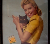 1940’s Wartime Black Cat Cigarettes Display